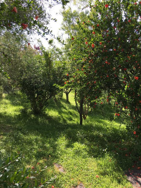 Appartement Casale Le Querce à Castelnuovo Berardenga Extérieur photo